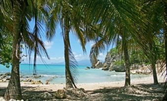 House with 2 Bedrooms in Le Gosier, with Enclosed Garden and Wifi Near the Beach