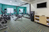 Holiday Inn Express & Suites Charlotte- Arrowood