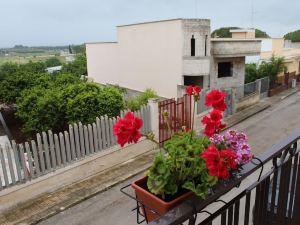 Il Sole di Puglia Bed & Breakfast