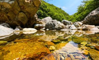 Yangsan (Baenaegol) White House Bed and Breakfast in Woods