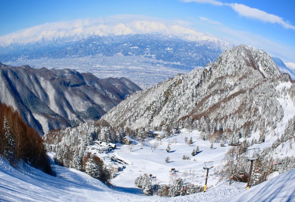 FORTIS OTELCILIKOver view