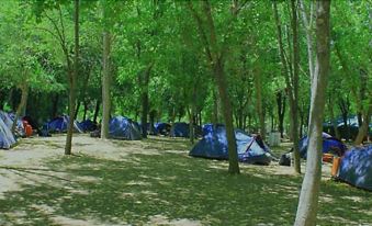 Camping la Fundicion