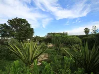 La Punta