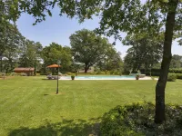 Tenuta Farneta - Pool
