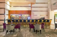 Radisson Blu Hotel Sandton, Johannesburg - bar