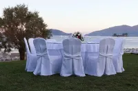 Galaxy, BW Premier Collection