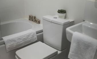 a bathroom with a white toilet , a bathtub , and a sink with a potted plant on the floor at The Hive Apartment