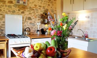 Stylish Cottage in Savignac-lédrier with Terrace