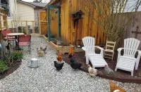 Silly Chickens Lodge B&B Hôtels à : Mooresville