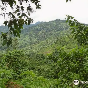 Ruboni Community Camp - Housity