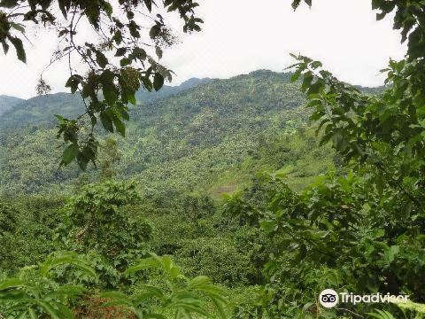 Ruboni Community Camp - Housity