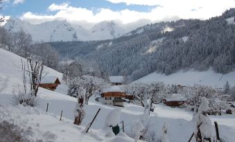 Cozy Chalet in Grand Bornand with Garden Furniture