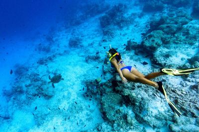 その他 シェラトン モルディブ フルムーン リゾート&スパの写真