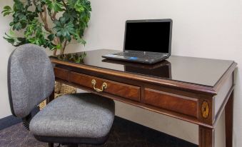 a desk with a laptop on it , next to a chair and a potted plant at Gateway Hotel