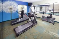 Holiday Inn & Suites BOTHELL by IHG - Gym