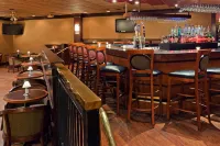 Holiday Inn CLARK - NEWARK AREA by IHG - Bar