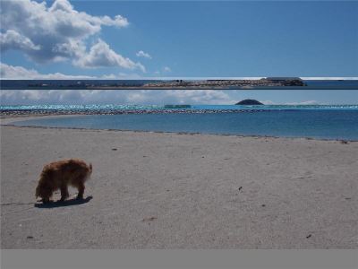 施設外観 北条水軍ユースホステルの写真