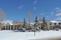 Luxury Inn & Suites Hotels in Wildernest