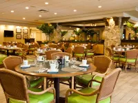 Thesis Miami Coral Gables Curio Collection Hilton Hotels in Coral Gables