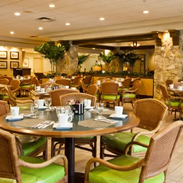 Thesis Miami Coral Gables Curio Collection Hilton Отели рядом с достопримечательностью «Венецианский бассейн»