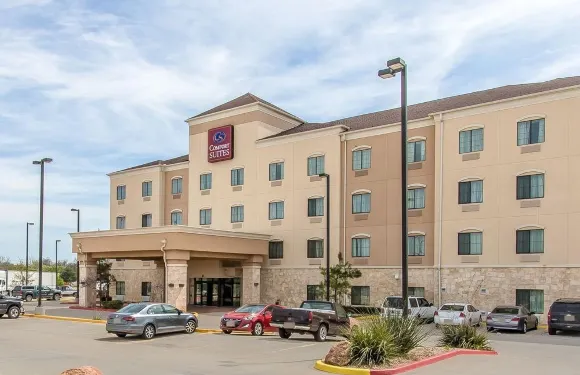 舒適套房酒店-揚斯敦北