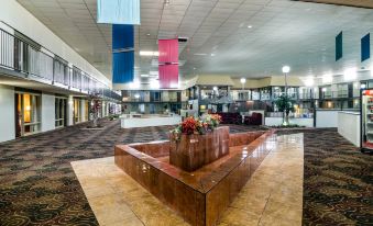 Ramada by Wyndham Odessa Near University of Texas Permian