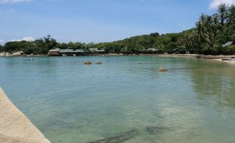 a serene beach scene with clear blue water , white sand , and lush green trees in the background at Whale Island Resort