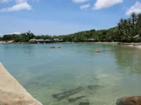 Whale Island Resort