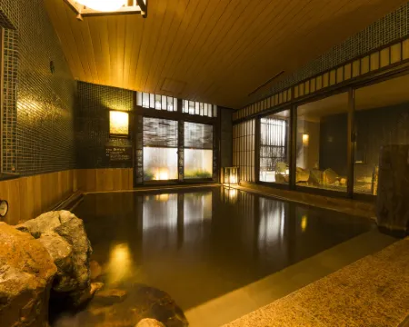 和歌山天然温泉多米高級酒店 和歌山酒店