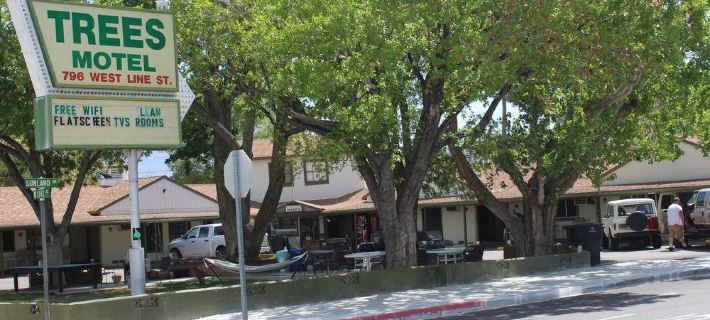 Trees Motel Hotels in Inyo County