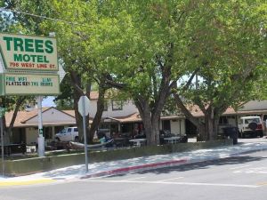 Trees Motel