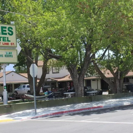 Trees Motel