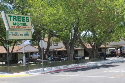 Trees Motel Hotel a Bishop