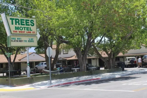 Trees Motel Hotels in Bishop