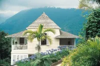 Strawberry Hill - bar