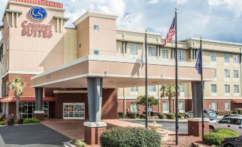 Comfort Suites Rock Hill Manchester Meadows Area