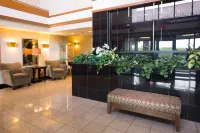 Drury Inn & Suites Hayti Caruthersville - pet friendly