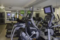 Found Re Phoenix - Gym