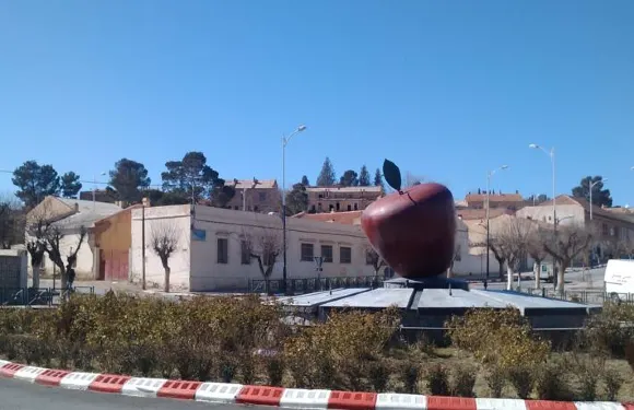 野生動物園週末酒店