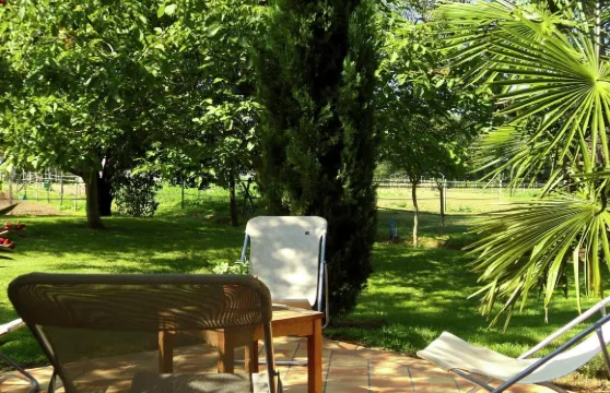 阿基坦區普萊斯德利維埃度假屋