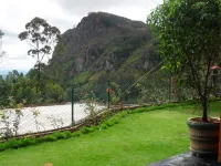 Tea Garden Holiday Inn
