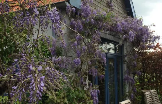 蓮花住宿加早餐旅館