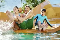 Signia by Hilton La Cantera Resort & Spa - Resorts