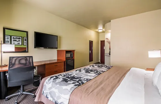 聖安東尼奧市海洋世界貝斯特韋斯特必住酒店