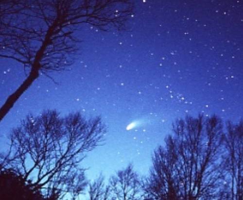 星空へ続く宿 山本小屋ふる里館 長和 宿泊予約 安い料金プラン 口コミ 部屋写真 Trip Com 星空へ続く宿 山本小屋ふる里館 長和 宿泊予約 安い料金プラン 口コミ 部屋写真 Trip Com