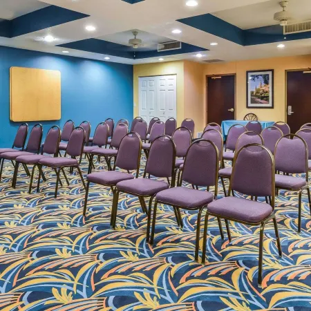 Comfort Suites Tampa - Brandon