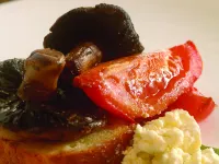 Hunter Valley Resort, Hunter Farm Adventure Centre & 4 Pines at The Farm