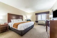 Comfort Inn Festus-St Louis South