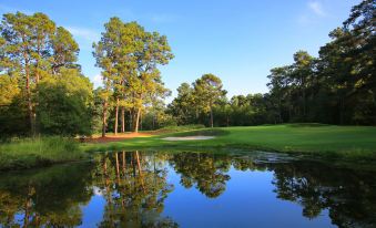 a golf course with a pond in the foreground and trees surrounding the course , reflecting the sky at Pine Needles Lodge & Golf Club
