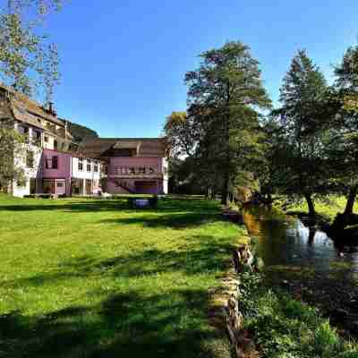 Logis Hotel des Vosges Hotel Exterior